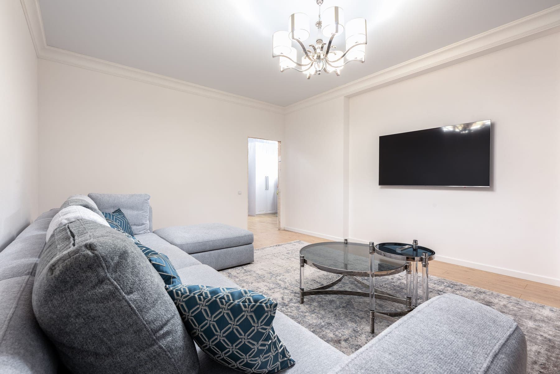 A low-pile washable rug in a bright living room with a sofa and plant