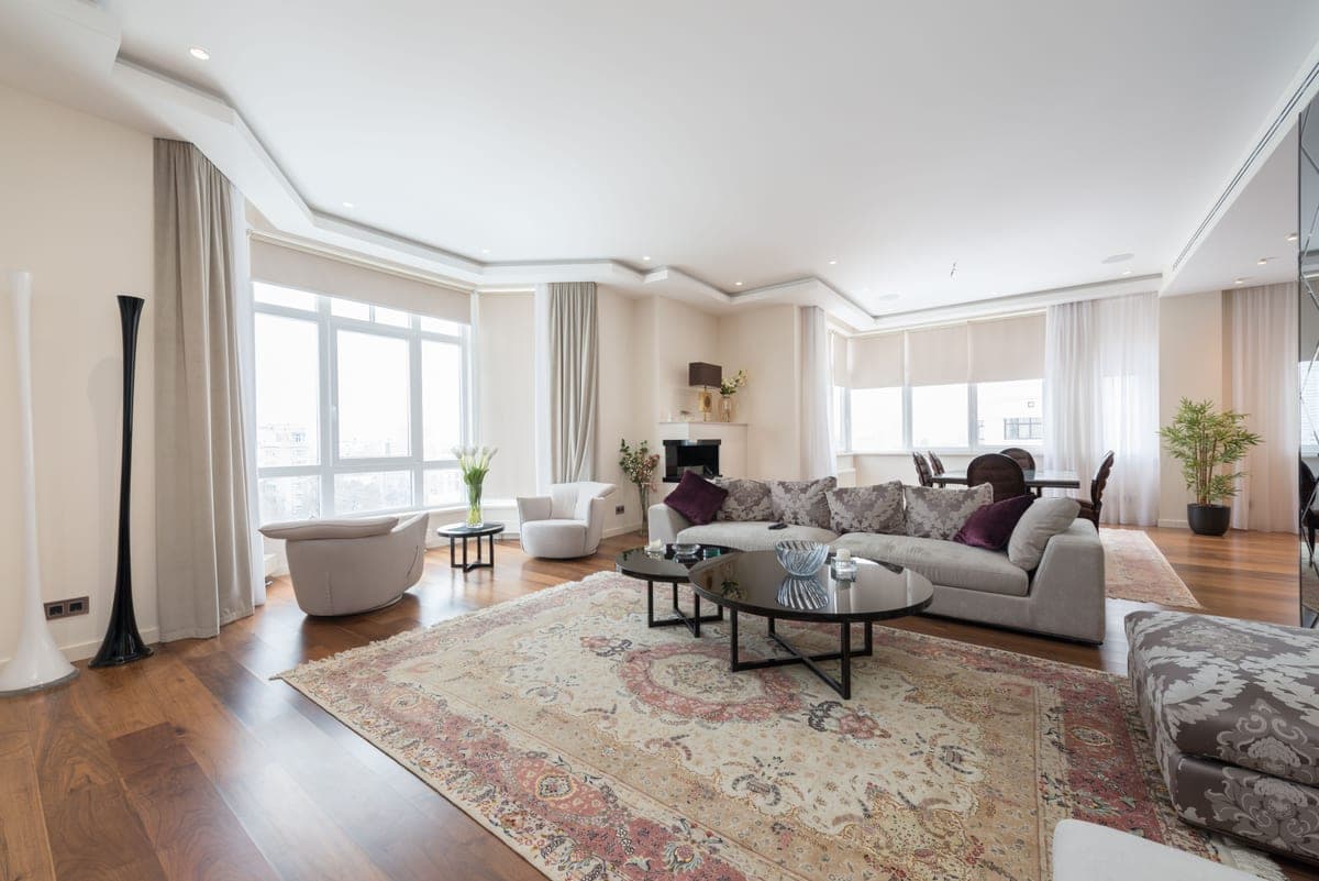 A large area rug anchoring a furnished living room